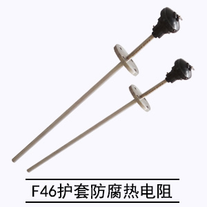 F46護(hù)套防腐熱電阻