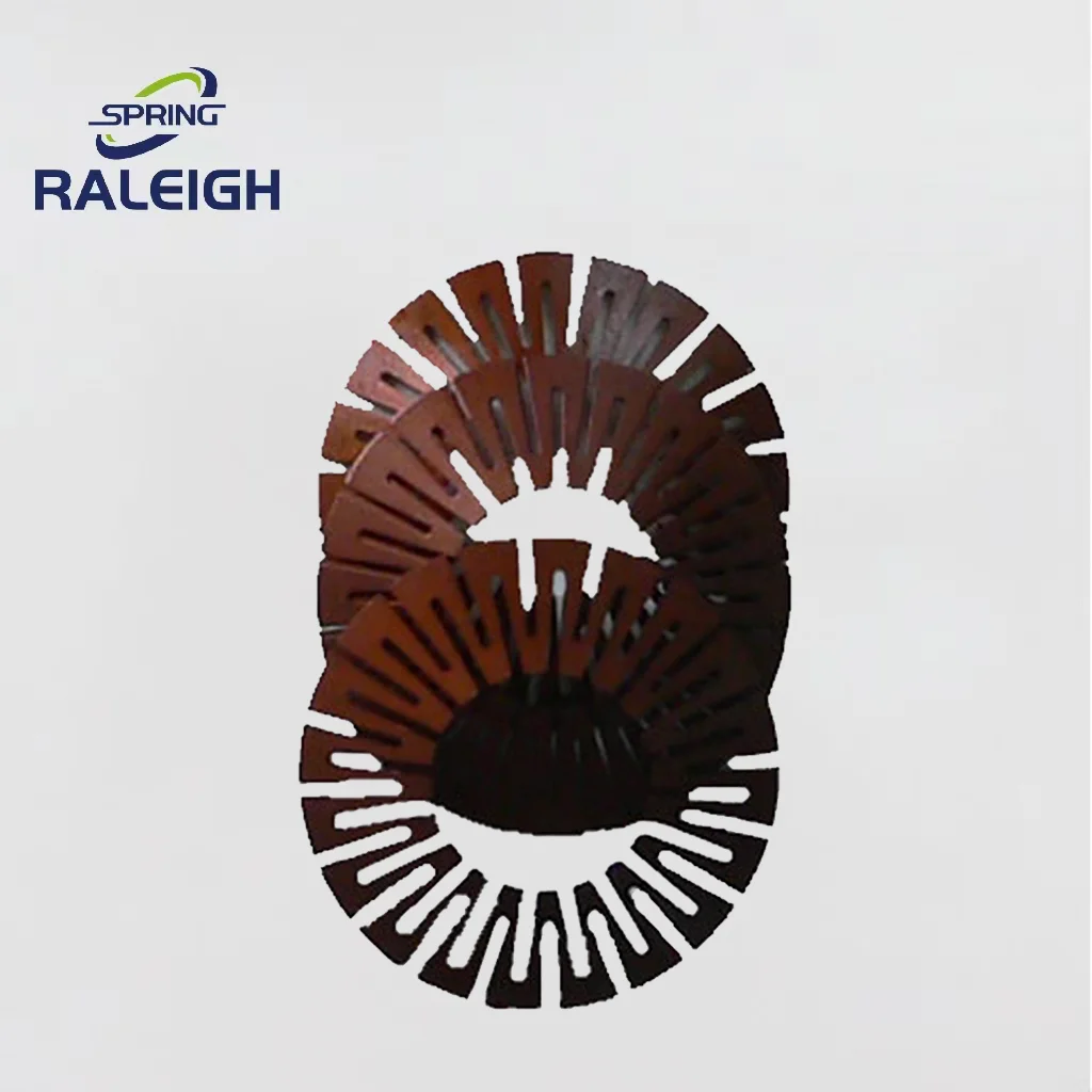 Double Slotted Disc SpringRaleigh Spring