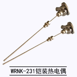 WRNK-231鎧裝熱電偶