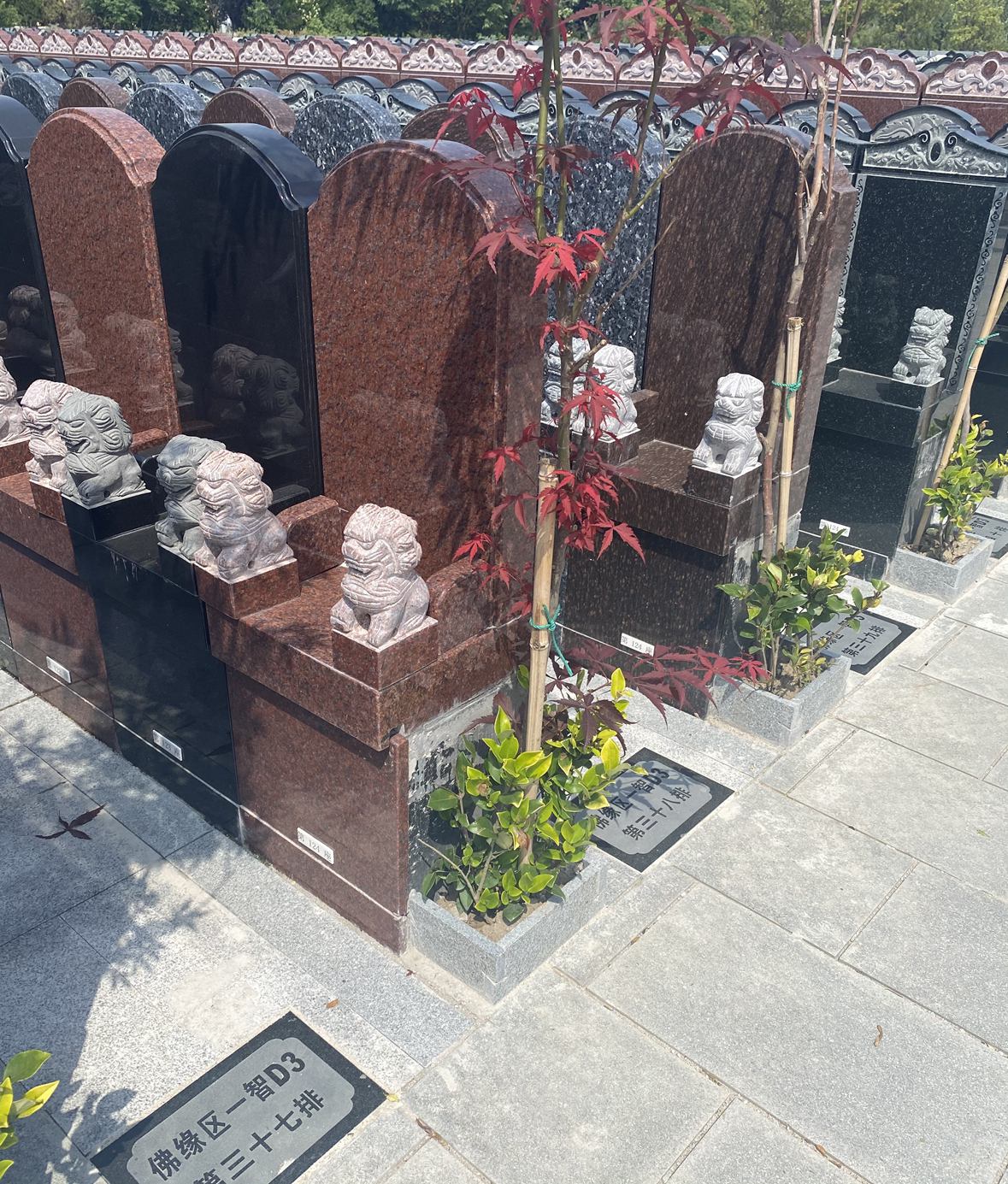 佛缘区-义65