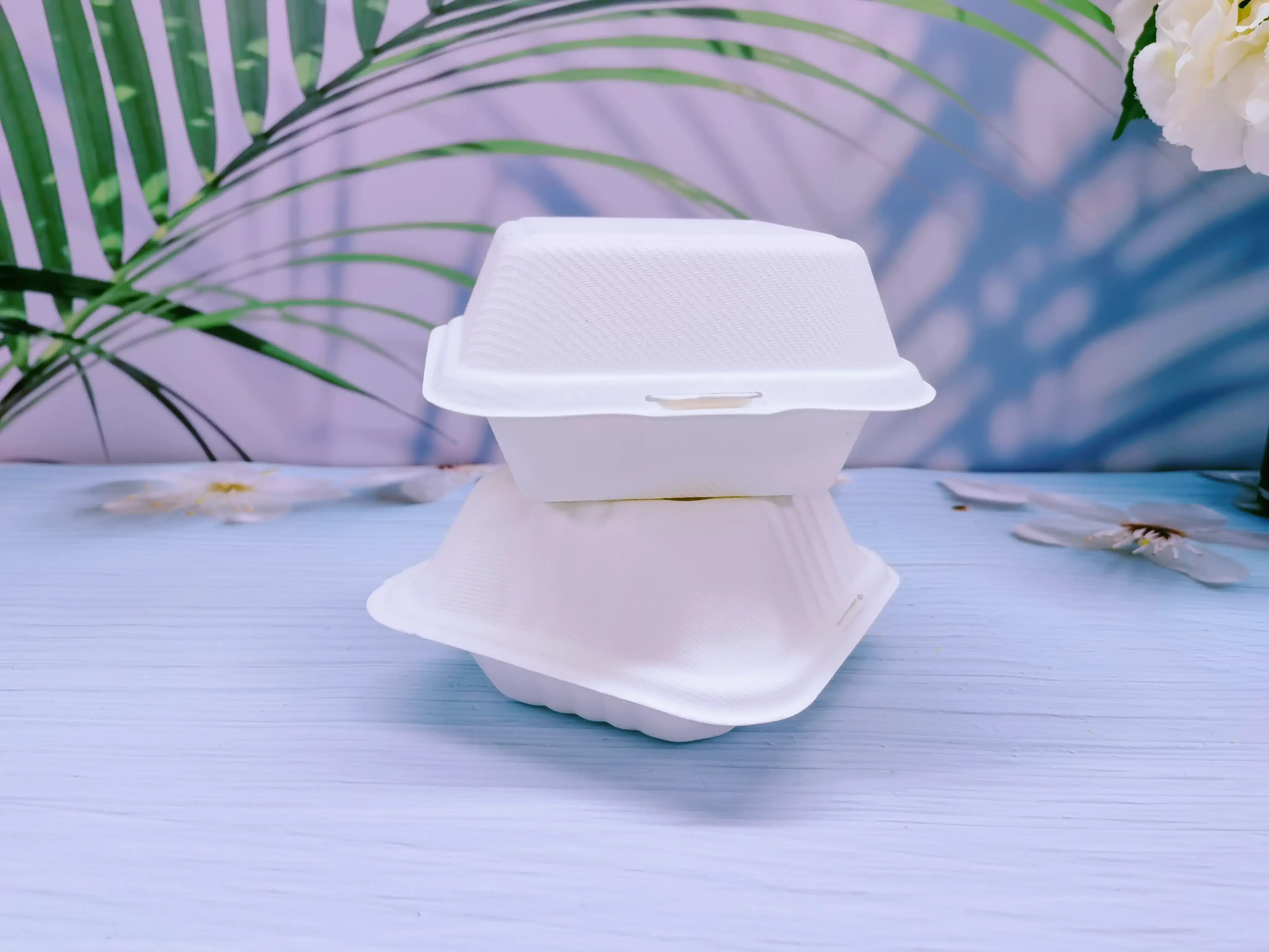 Pulp Molded Clamshell Paper Box & Food Container Supplier