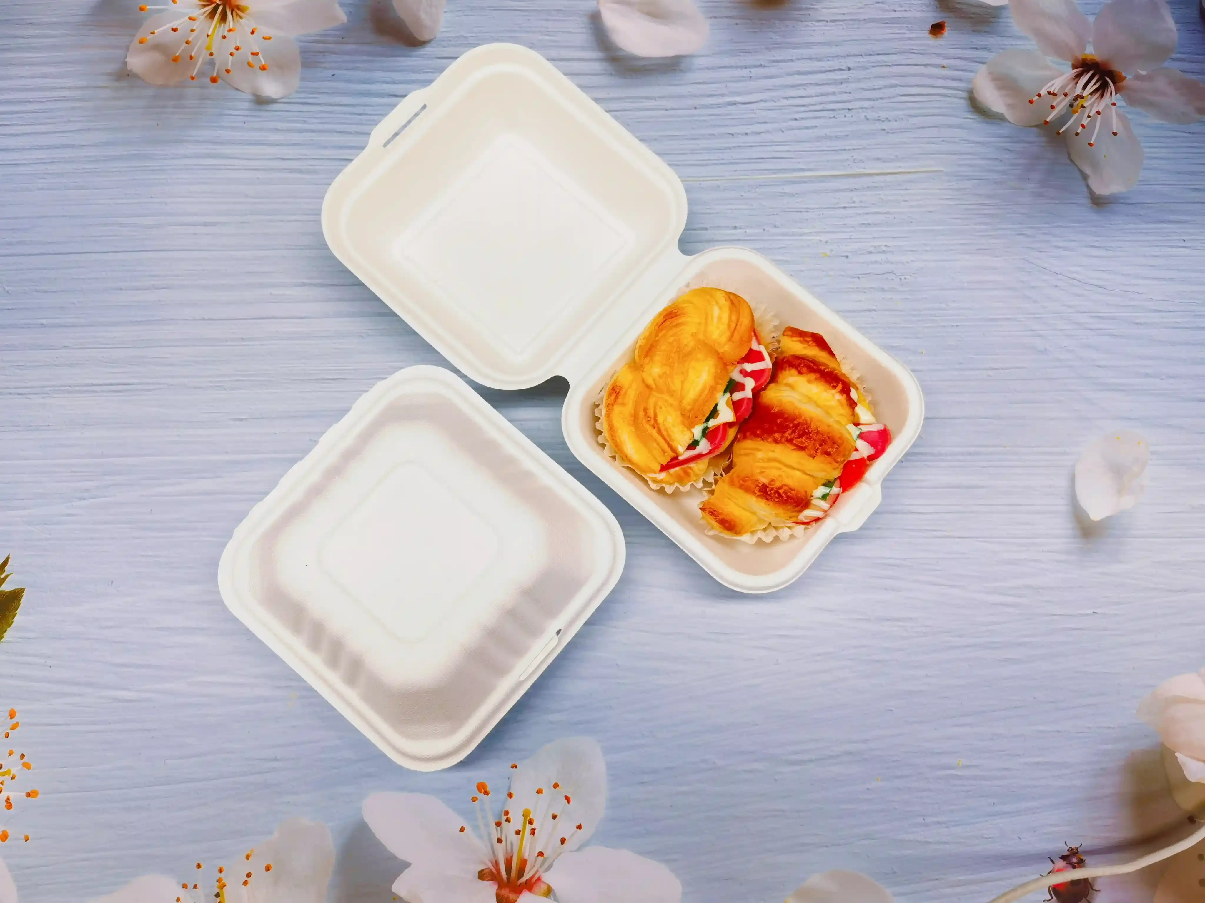 Pulp Molded Clamshell Paper Box & Food Container Supplier