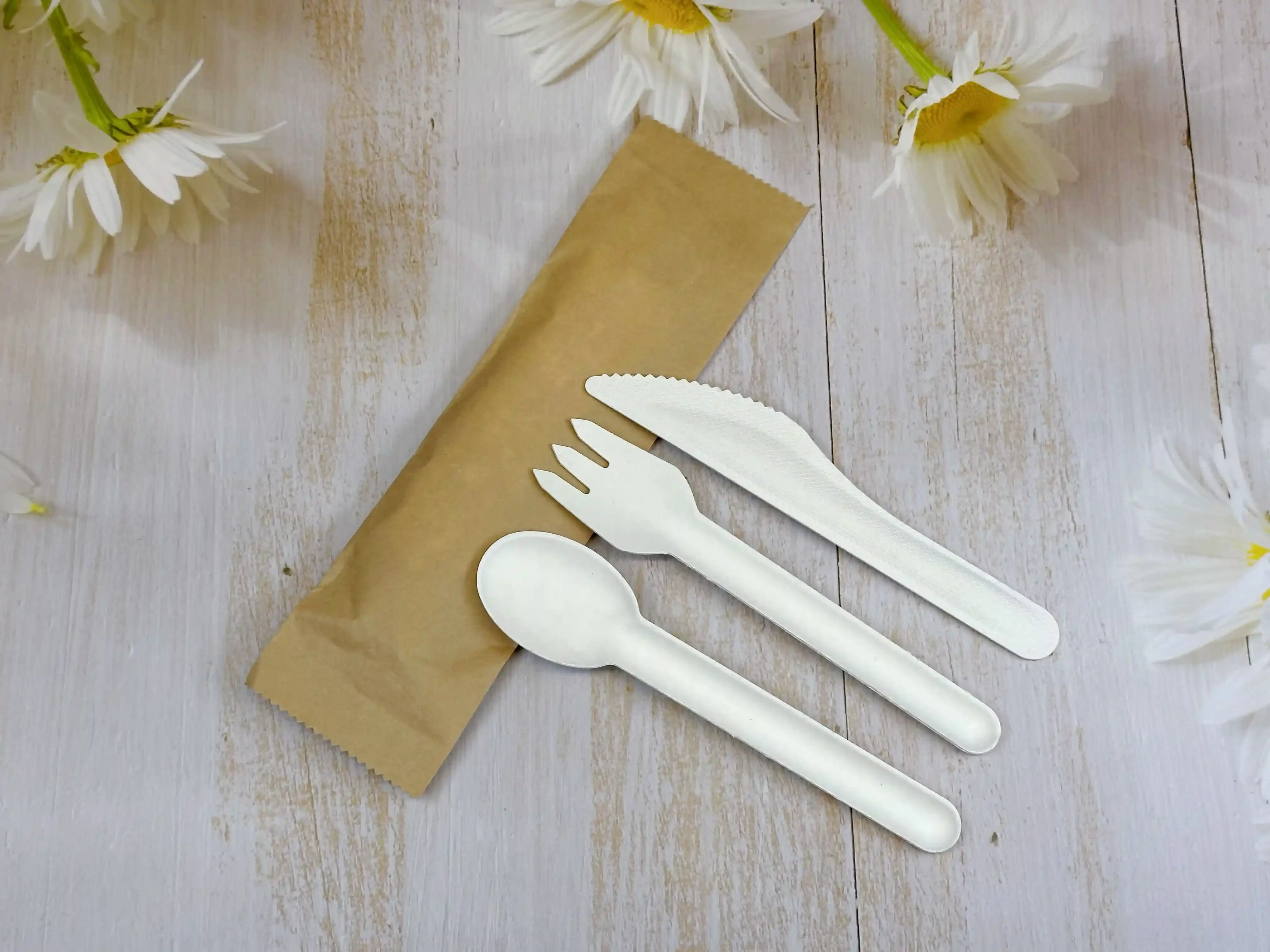 Biodegradable Plant Based Disposable Tableware Manufacturer
