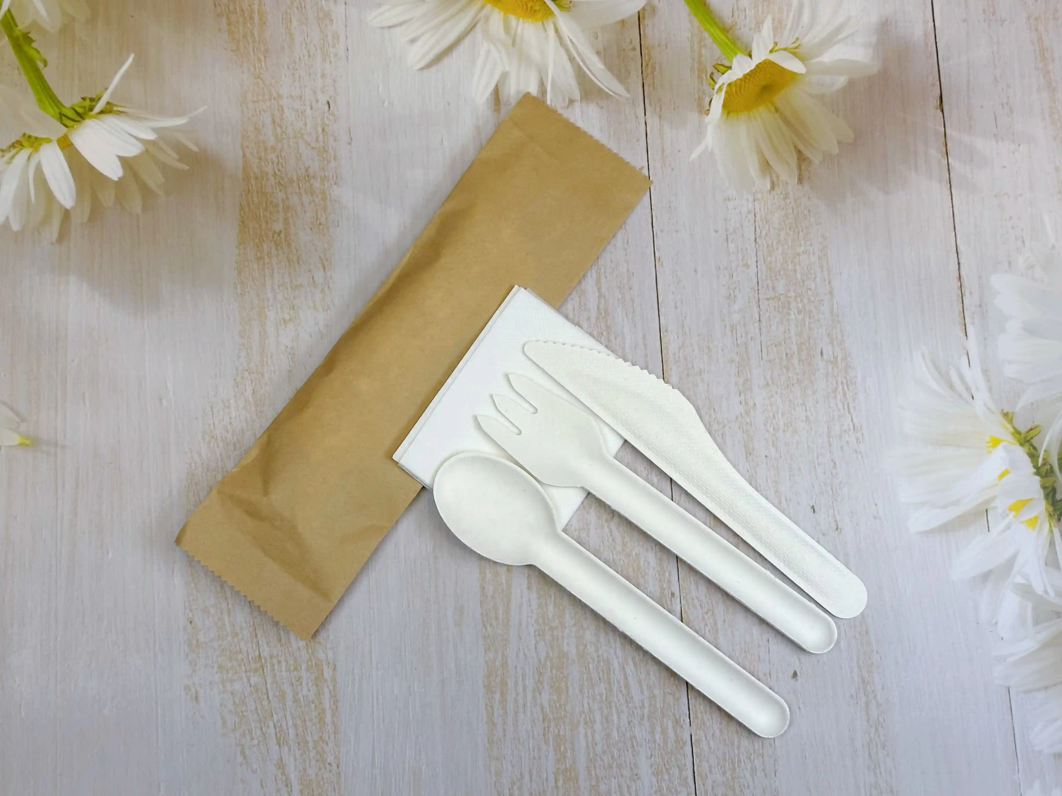 Biodegradable Knife Fork Spoon
