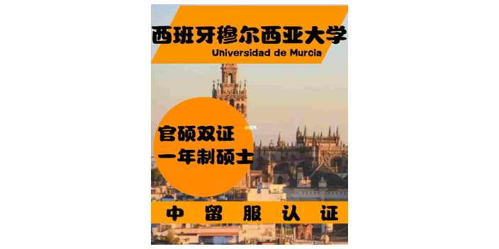 广西穆尔西亚大学ENAE商学院指导