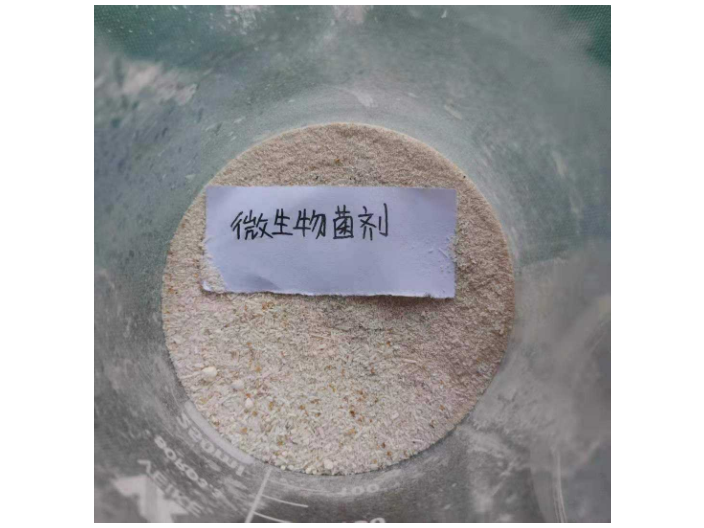 深圳臭水處理微生物菌劑大概多少錢,污水處理微生物菌劑