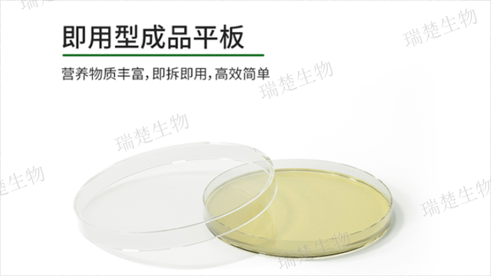 BCYE鉴别琼脂预装培养皿 客户至上 上海市瑞楚生物科技供应