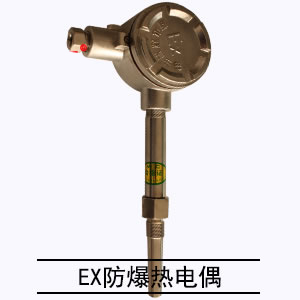 EX防爆熱電偶