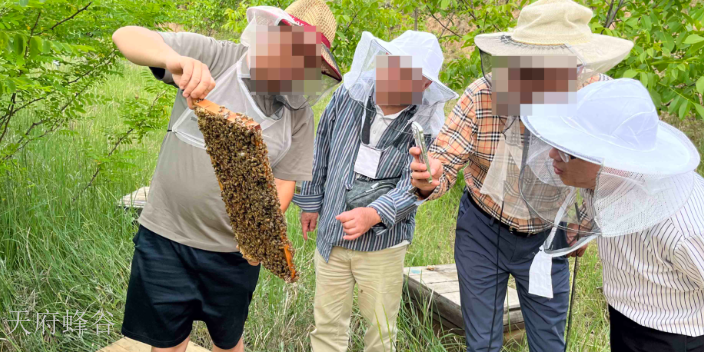 中国智能养蜂建设方案,养蜂