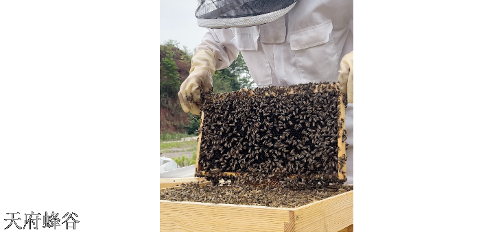 新材料养蜂服务商
