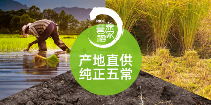 上海五常大米真假 真誠推薦 營養稻家供應