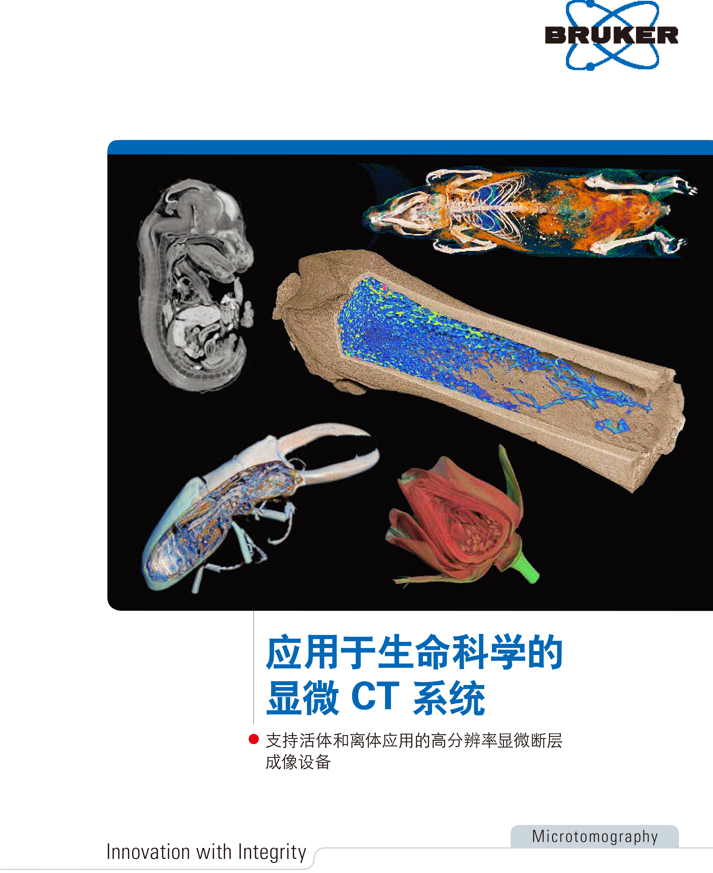 Micro-CT1.png