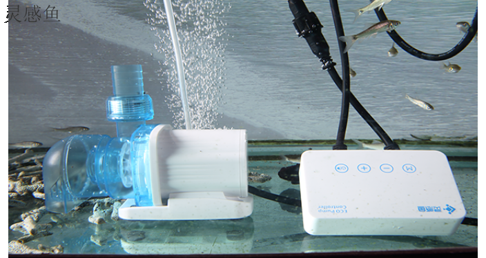 山西智能静音水泵规格,静音水泵