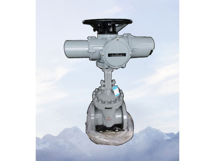 深圳彈性座閘閥費(fèi)用 推薦咨詢 上海科耐迪閥門成套設(shè)備供應(yīng)