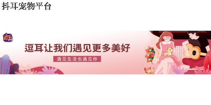 广东逗耳宠物平台推荐 贴心服务  深圳市抖耳科技供应