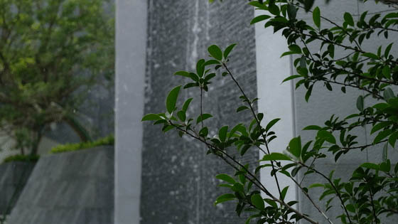 中山市榮高園林綠化工程案例.jpg