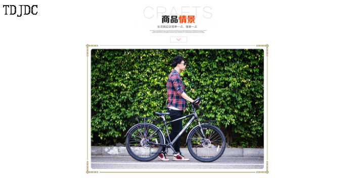 浙江自行车旅行车品牌,旅行车