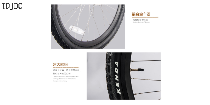 天津自行车旅行车品牌,旅行车