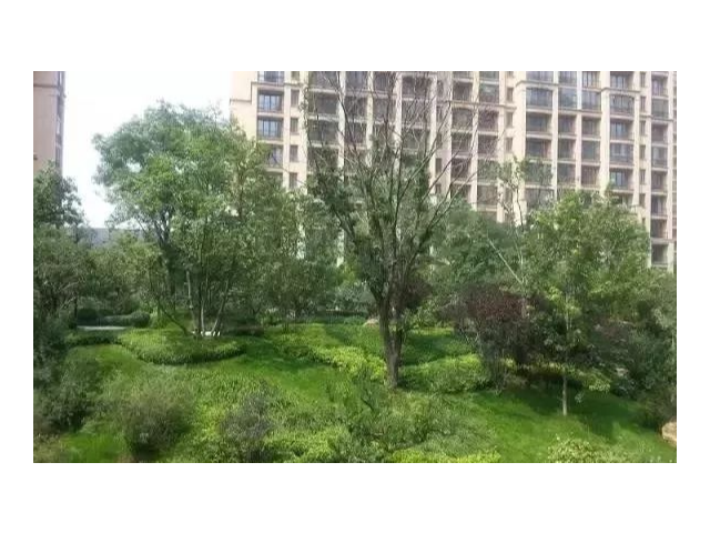 北京什么公司园林绿化工程施工很好,园林绿化工程施工