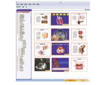 醫(yī)學(xué)多媒體素材庫+教學(xué)平臺