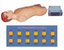 gao級(jí)全自動(dòng)心肺叩診模型