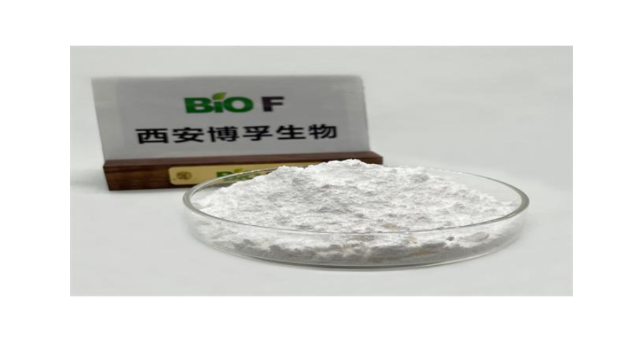 广西白藜芦醇供货商 西安博孚生物科技供应