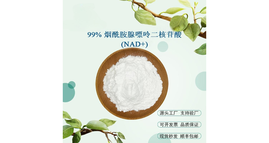 西安NAD+源头厂家 西安博孚生物科技供应