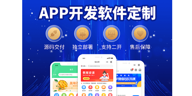 甘南专业app软件开发公司
