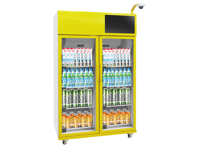 农村自动售货机 冰小柜科技供应