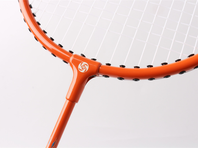 拉萨国产羽毛球拍品牌哪个好