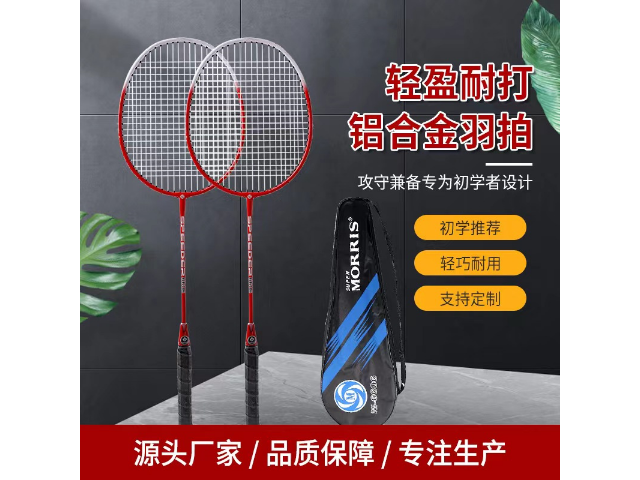 温州羽毛球拍买什么品牌好,羽毛球拍