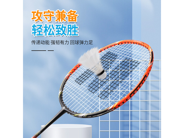 绍兴羽毛球拍品牌价格,羽毛球拍