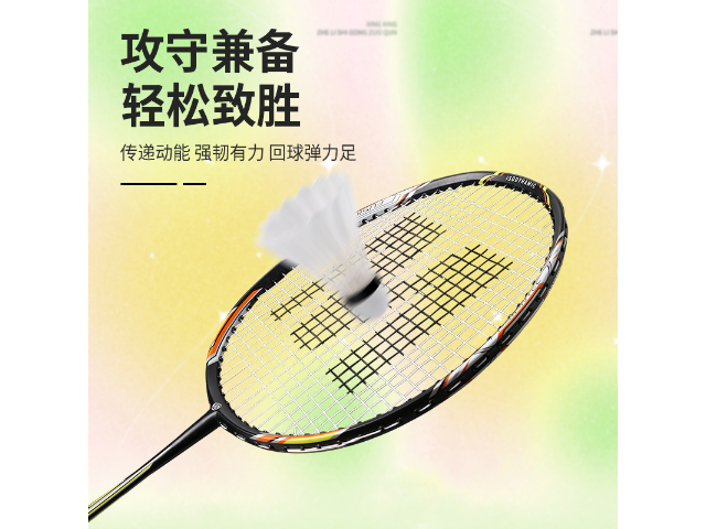 广西羽毛球拍哪个品牌更好,羽毛球拍