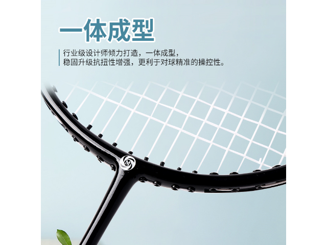 陕西网球拍体育器材