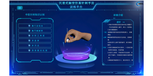 3D针刺虚拟数字人梯解剖系统分类