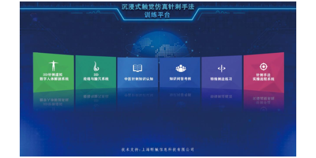 多面立体中医针刺触觉仿真实训平台选择