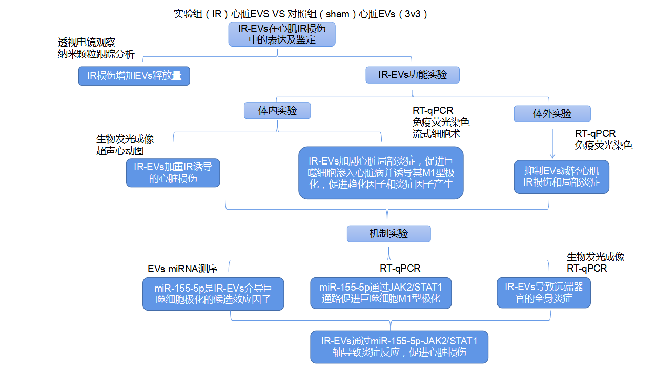 技术流程.png