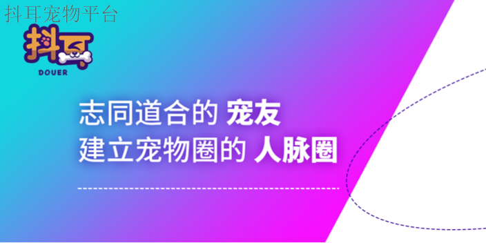广东逗耳宠物平台医生咨询 贴心服务  深圳市抖耳科技供应