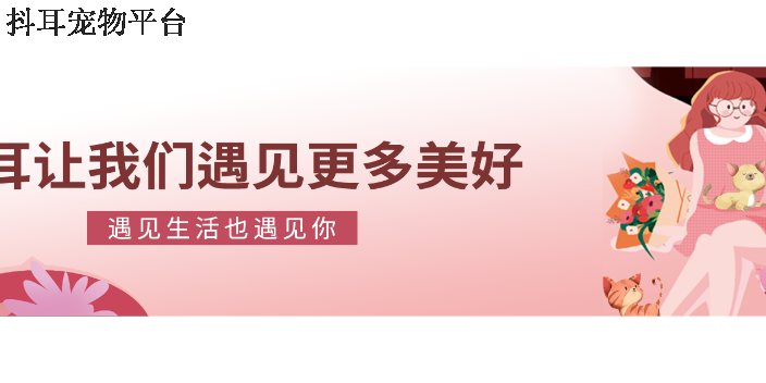 广东逗耳宠物平台社交 诚信服务  深圳市抖耳科技供应