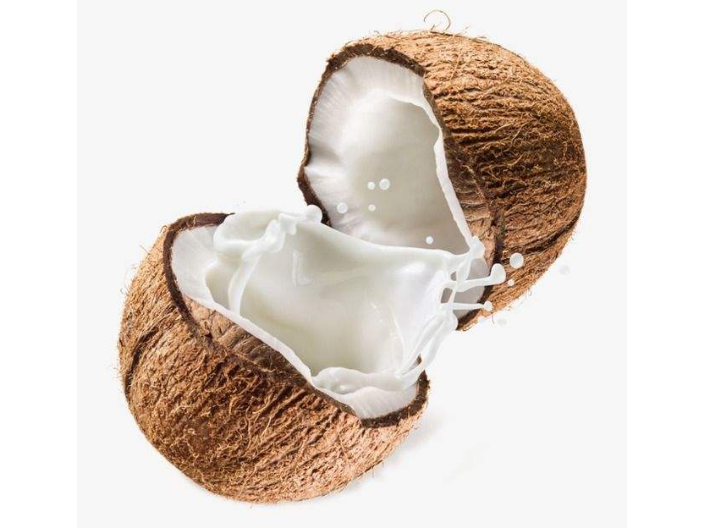 西宁椰片,椰子