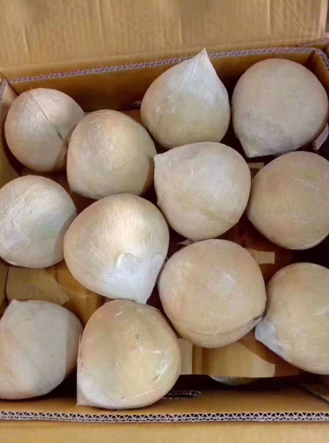 广东泰国海风椰青供货费用,椰青