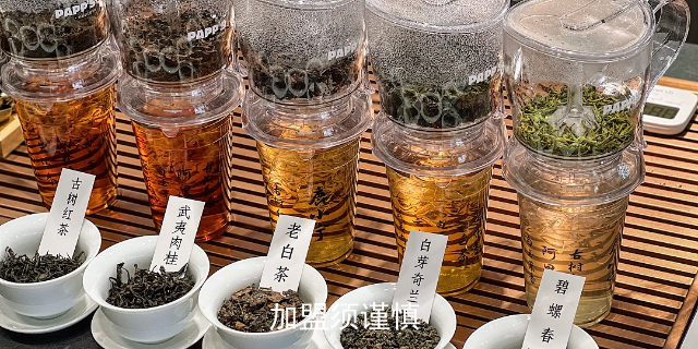 贵州奶茶加盟创业