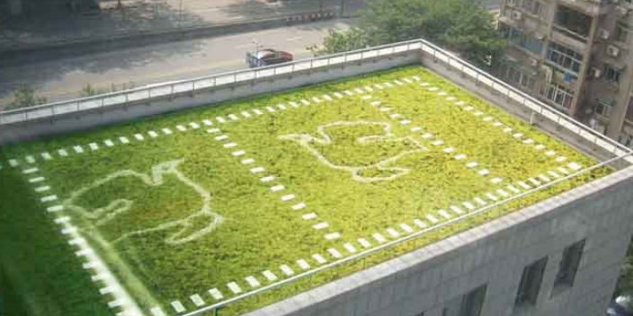 上海適老化改造屋頂花園收費(fèi) 客戶(hù)至上 上海海納邇氧森態(tài)科技供應(yīng)
