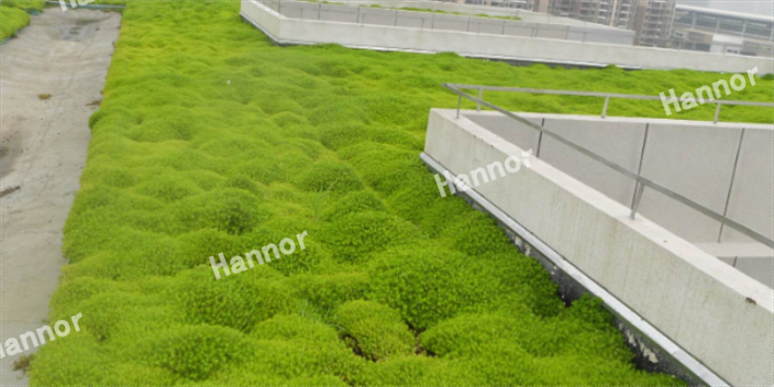 云南如何選擇設(shè)計(jì)屋頂花園植物,屋頂花園