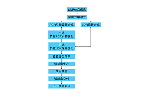 PCR-LDR試劑盒定制