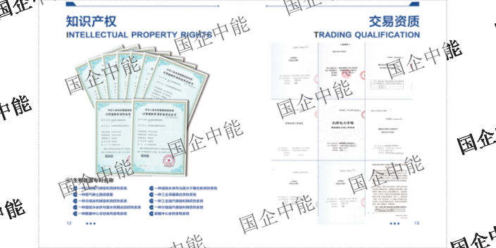 江门什么是国启中能电力企业,国启中能电力