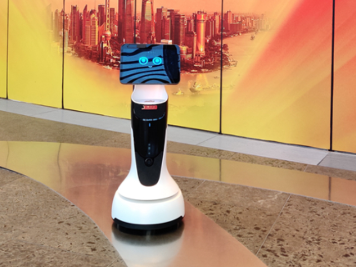上海智能展厅讲解机器人提供商,展厅讲解机器人