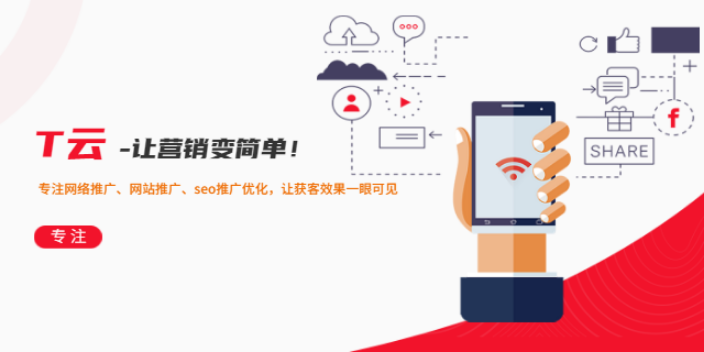 湖北互联网网站推广 服务为先 武汉纯云科技供应;