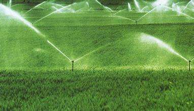 节水灌溉.jpg