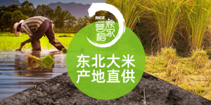 源頭稻花香米品質(zhì)